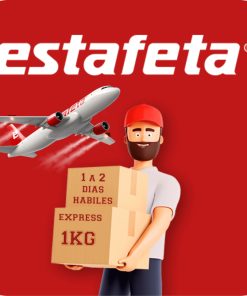 Guía Prepagada Estafeta 1kg Dia Siguiente Express Aerea